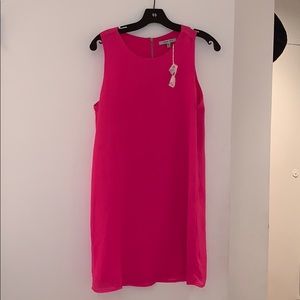 Naked Zebra Pink Shift Dress